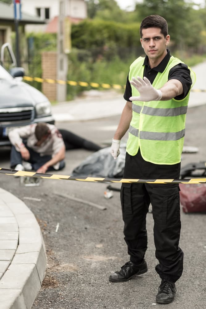 McClean pedestrian accident on roadside