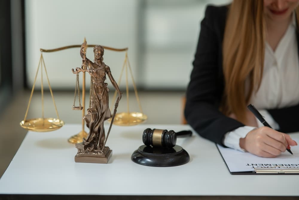 A female lawyer discusses documents with a client at their office.