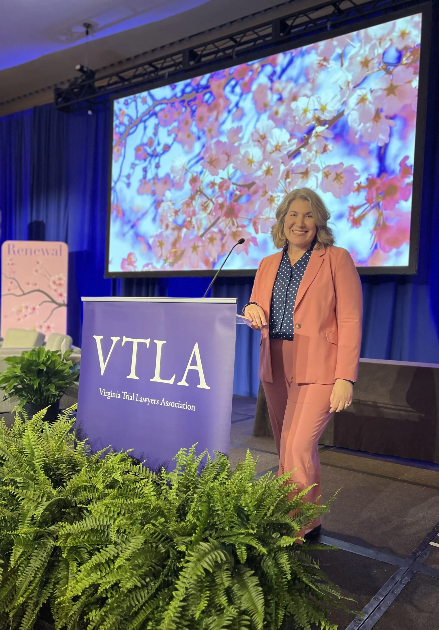 Image of the VTLA convention